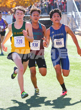 xc_2020_pg